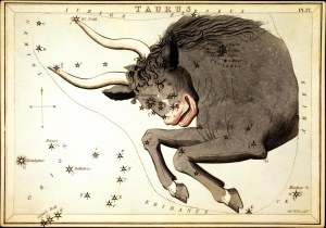 constellation_Taurus
