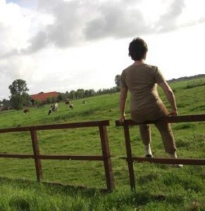 sitting on the fence