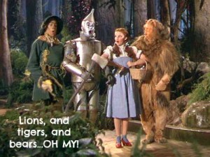 lions-and-tigers-and-bears-oh-my